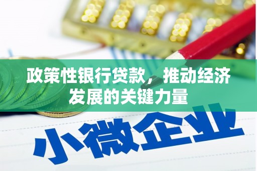 阳春政策性银行贷款，推动经济发展的关键力量