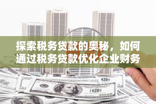 阳春探索税务贷款的奥秘，如何通过税务贷款优化企业财务