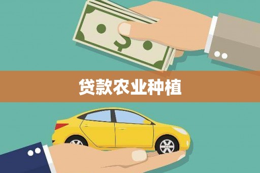 阳春贷款农业种植