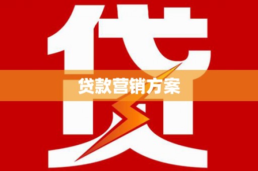阳春贷款营销方案