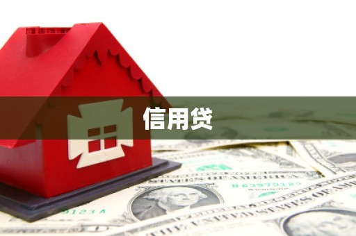 阳春信用贷