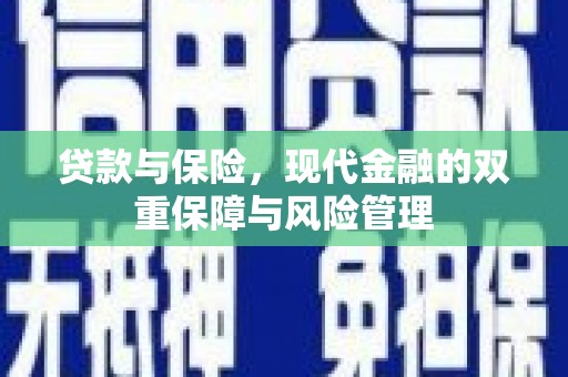 阳春贷款与保险，现代金融的双重保障与风险管理