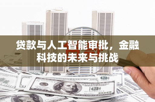 阳春贷款与人工智能审批，金融科技的未来与挑战