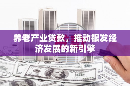 阳春养老产业贷款，推动银发经济发展的新引擎