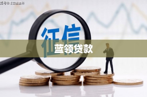阳春蓝领贷款