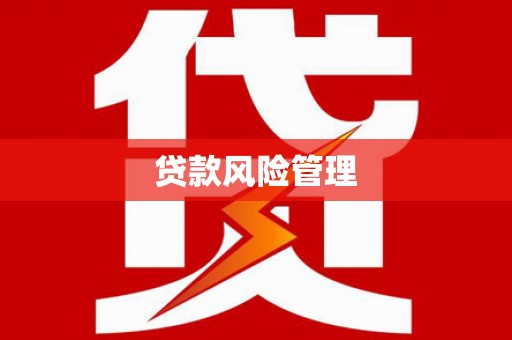 阳春贷款风险管理