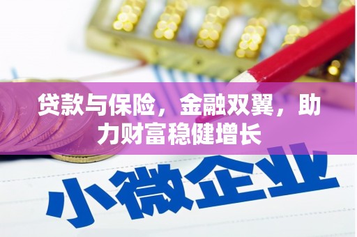 阳春贷款与保险，金融双翼，助力财富稳健增长
