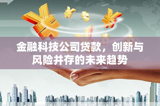 阳春金融科技公司贷款，创新与风险并存的未来趋势