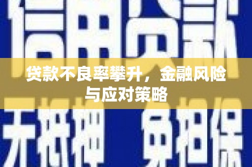 阳春贷款不良率攀升，金融风险与应对策略