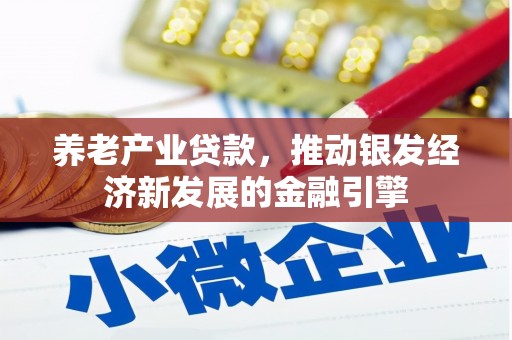阳春养老产业贷款，推动银发经济新发展的金融引擎