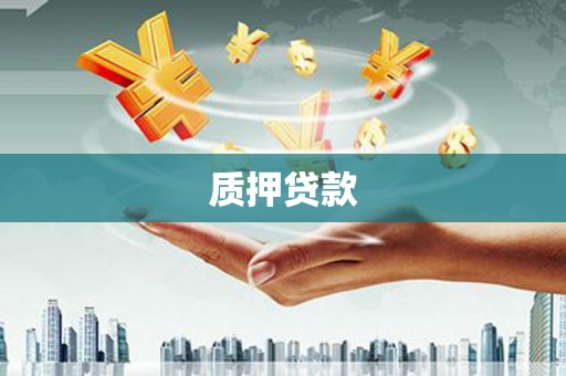 阳春质押贷款