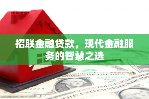 阳春招联金融贷款，现代金融服务的智慧之选
