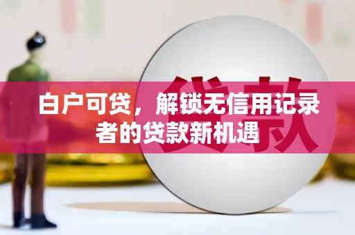 阳春白户可贷，解锁无信用记录者的贷款新机遇