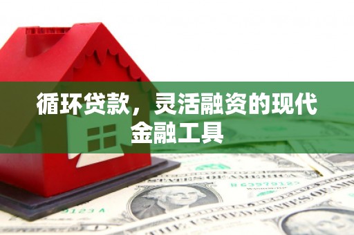 阳春循环贷款，灵活融资的现代金融工具