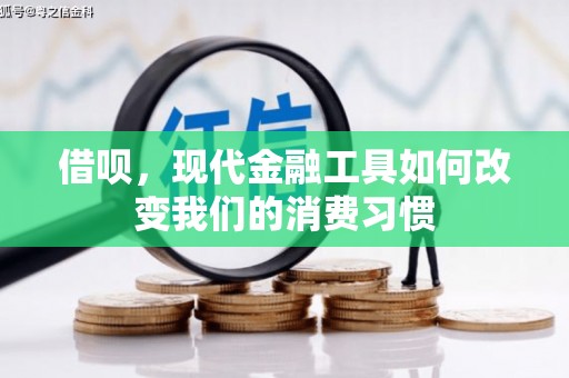 阳春借呗，现代金融工具如何改变我们的消费习惯