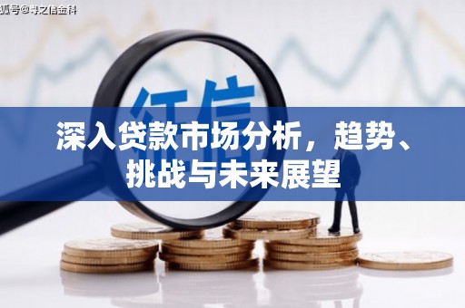 阳春深入贷款市场分析，趋势、挑战与未来展望