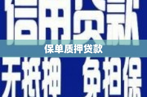 阳春保单质押贷款
