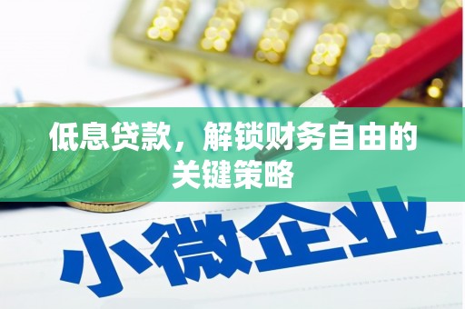 阳春低息贷款，解锁财务自由的关键策略