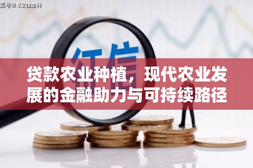 阳春贷款农业种植，现代农业发展的金融助力与可持续路径