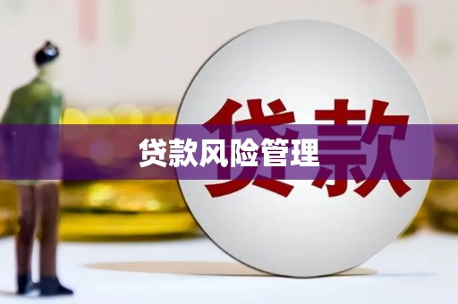 阳春贷款风险管理