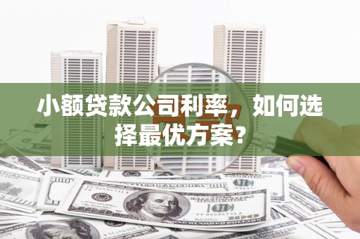 阳春小额贷款公司利率，如何选择最优方案？