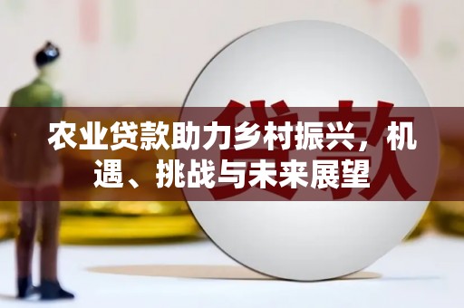 阳春农业贷款助力乡村振兴，机遇、挑战与未来展望