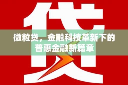 阳春微粒贷，金融科技革新下的普惠金融新篇章