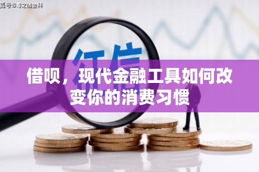 阳春借呗，现代金融工具如何改变你的消费习惯