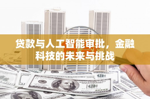 阳春贷款与人工智能审批，金融科技的未来与挑战