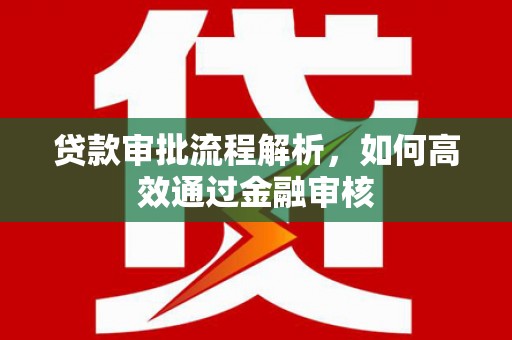 阳春贷款审批流程解析，如何高效通过金融审核