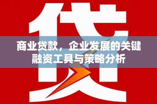 阳春商业贷款，企业发展的关键融资工具与策略分析
