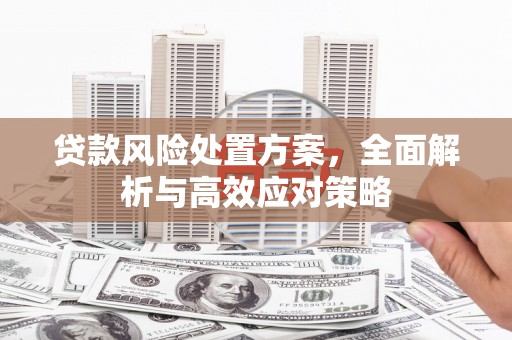 阳春贷款风险处置方案，全面解析与高效应对策略