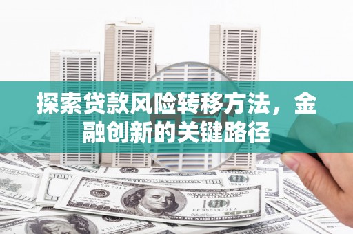 阳春探索贷款风险转移方法，金融创新的关键路径