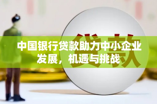 阳春中国银行贷款助力中小企业发展，机遇与挑战
