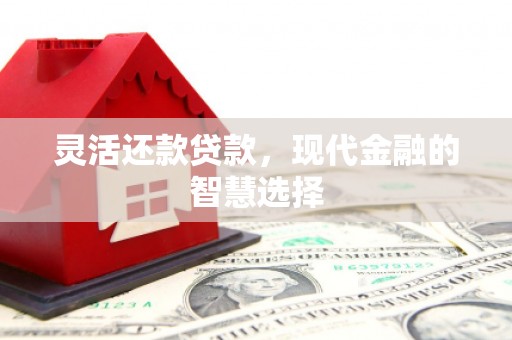 阳春灵活还款贷款，现代金融的智慧选择
