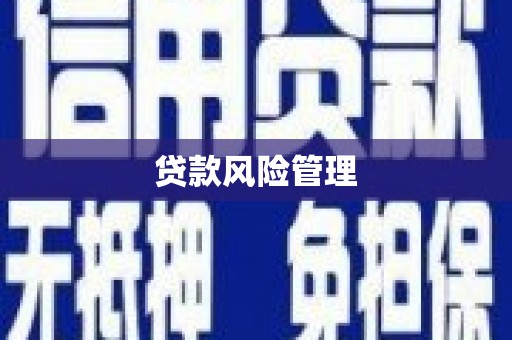 阳春贷款风险管理
