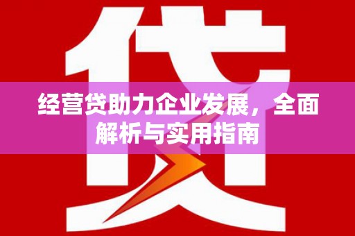 阳春经营贷助力企业发展，全面解析与实用指南