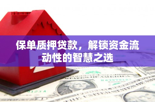 阳春保单质押贷款，解锁资金流动性的智慧之选