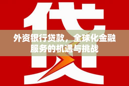阳春外资银行贷款，全球化金融服务的机遇与挑战
