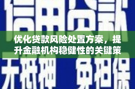 阳春优化贷款风险处置方案，提升金融机构稳健性的关键策略