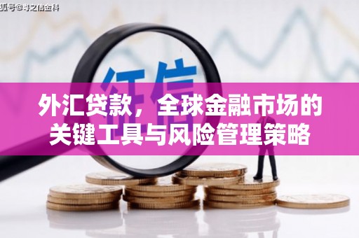阳春外汇贷款，全球金融市场的关键工具与风险管理策略