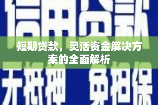 阳春短期贷款，灵活资金解决方案的全面解析