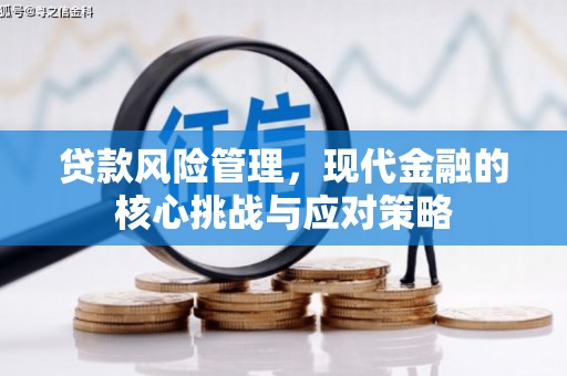 阳春贷款风险管理，现代金融的核心挑战与应对策略