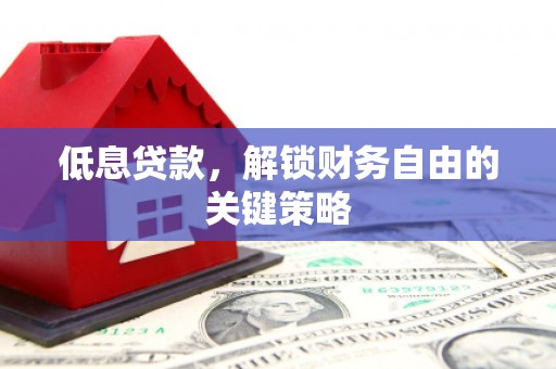 阳春低息贷款，解锁财务自由的关键策略