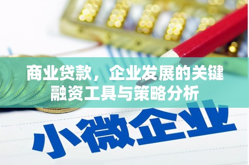 阳春商业贷款，企业发展的关键融资工具与策略分析