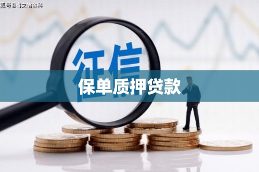 阳春保单质押贷款