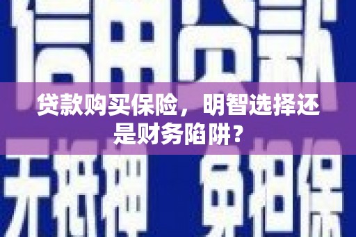 阳春贷款购买保险，明智选择还是财务陷阱？
