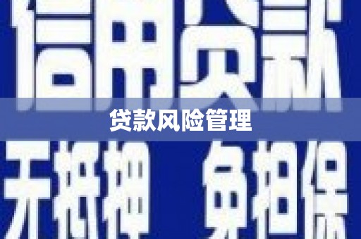 阳春贷款风险管理