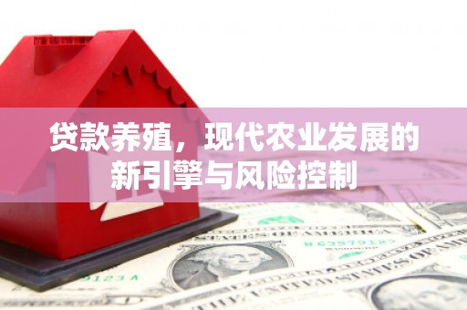 阳春贷款养殖，现代农业发展的新引擎与风险控制