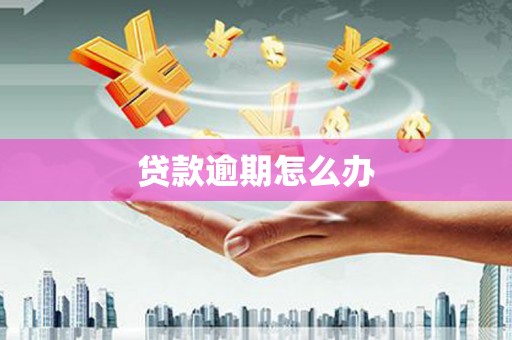 阳春贷款逾期怎么办